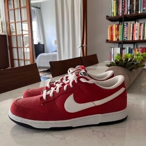 Nike Dunks Men’s Size 12